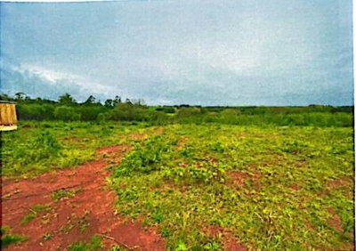 Terreno Urbano com 260m² em São Luiz Gonzaga/RS
