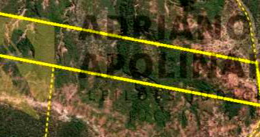 Fazenda com 94,09 ha em Santa Fé de Minas