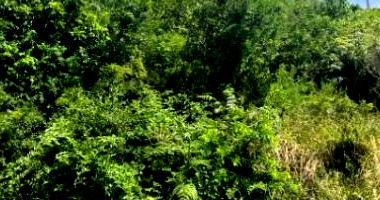 Terreno Urbano com 50% de área em Videira/SC