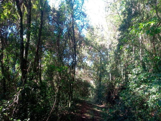 Terreno em Caxias do Sul com 145.000m²