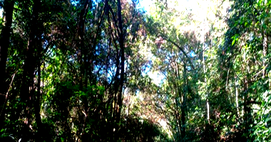 Terreno em Caxias do Sul com 145.000m²