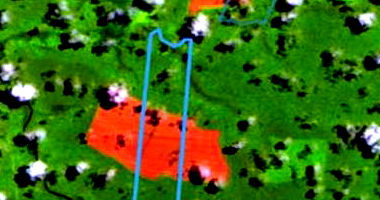 Lote Rural de 568.810.000m² em Nova Maringá/MT - Ocupado