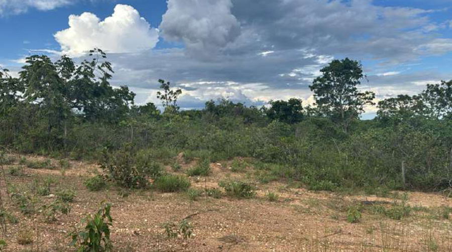 Lote 1 - 07 (SETE) LOTES NO LOTEAMENTO RESIDENCIAL SERRA DA MESA EM URUAÇU/GO