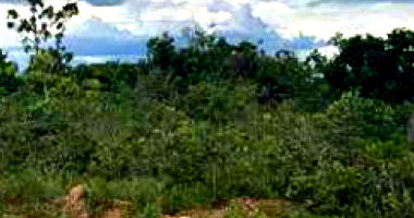 Lote 1 - 07 (SETE) LOTES NO LOTEAMENTO RESIDENCIAL SERRA DA MESA EM URUAÇU/GO
