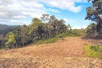 Lote Rural 50m² em Barão/RS - 25% de área rural