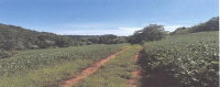 Área Rural de 66.000 m² com Matrículas em Tiradentes do Sul