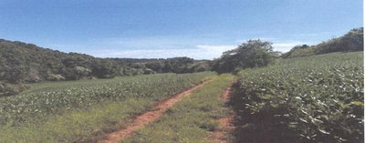 Área Rural de 66.000 m² com Matrículas em Tiradentes do Sul