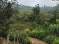 Terrenos Rurais com 16,84 hectares em Ibiraçu/ES