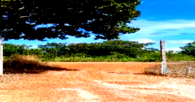 Espaçosa Fazenda Rural com 340ha de Área Total, Ocupada