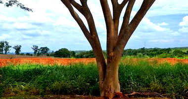 Terreno Residencial de 450m² em Mirassol/SP