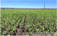 Fração de terras com 2,43 hectares para fins agrícolas