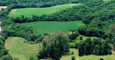 Lote 005: Frações Ideais de Imóveis Urbanos e Rurais em Maximiliano de Almeida/RS