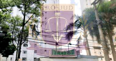 Apartamento 2 Dormitórios com 1 Vaga no Parque Mandaqui