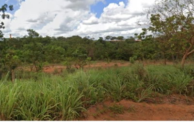 Fração de 25% de Imóvel Rural com 465,82 Hectares e 5 Pivôs