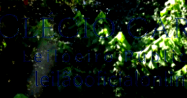 Terreno com 7.791m² em Itaquaquecetuba - SP