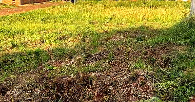 Terreno amplo de 366,69m² com ótima localização e potencial