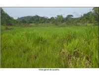 Terreno comercial de 10.000m² em Costa Marquês/RO