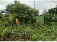 Terreno com 9.105,91m² em Ananás/TO