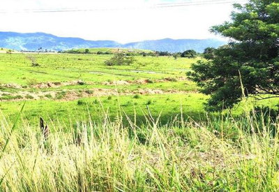 Terreno de 1.000 m² sem benfeitorias