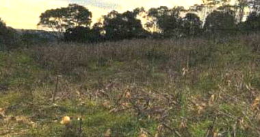 Lote rural com 35.000m², parte ideal, ocupado