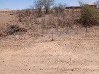Terreno em Cruzeta com 135m²