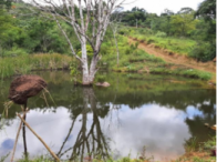 Fazendas Bela Vista e Vasco da Gama - 41,8940ha -