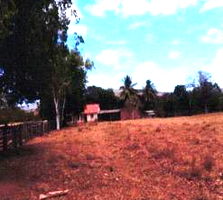 Fazenda Sítio Boa Esperança em Manga-MG com 25 Hectares