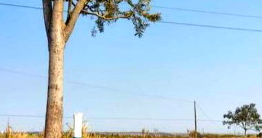 Lote 15 em Nova Aliança do Ivaí - Oportunidade Única