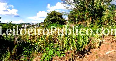 Terreno em Ponte Serrada com 482,76 m²