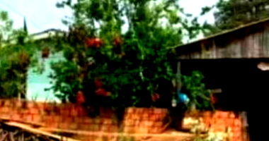Casa Ocupada com Desconto à Vista em Quedas do Iguaçu