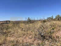 Fazenda de 10 hectares em Lagamar