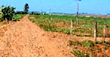 Imóvel Rural Ocupado com 121.000 m² em Janiópolis/PR