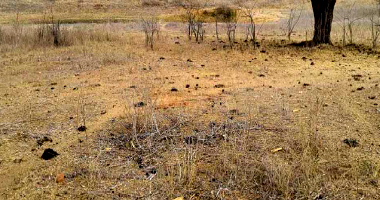 Sítio Rural com 35,33ha e Benfeitorias