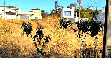 Lote de terras em Campo Mourão/Pr