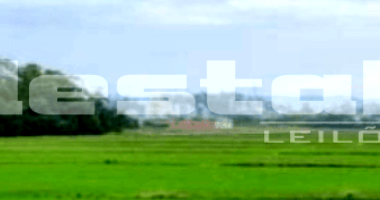 Lote Unificado: Casa, Apartamento e Terrenos em SC