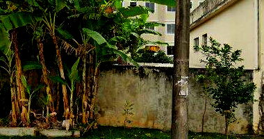 Apartamento 2 quartos, 1 banheiro, 1 vaga, 43.2m² privativos