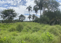 Fazenda Três A - Imóvel Rural com 56,67 ha em Angico/TO