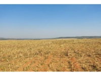Terrenos desocupados com 2.932,50m² em Luziânia