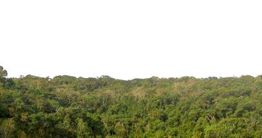 Terreno Rural com Mata Nativa em Francisco Beltrão