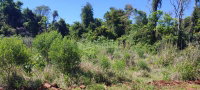 Terreno rural com 12,6750 hectares em Entre-Ijuís/RS