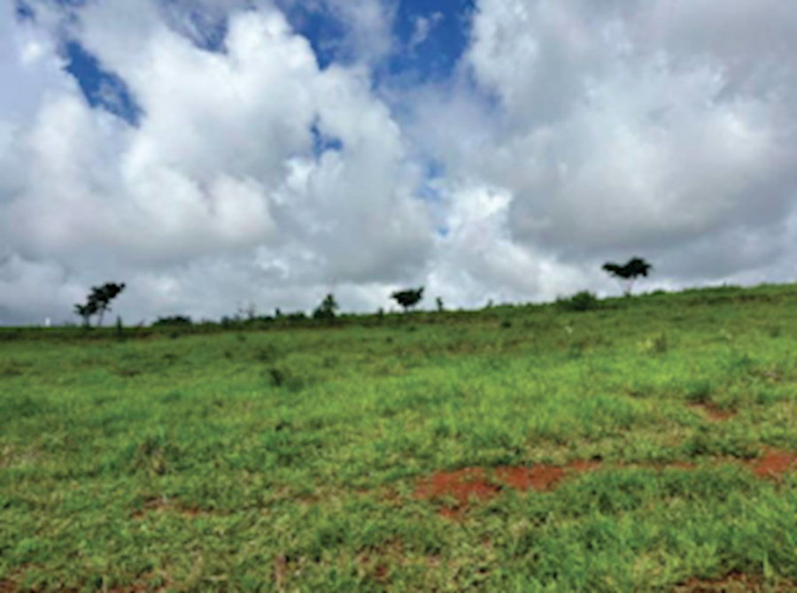 Terreno em São Carlos/SP com 268.378 m²
