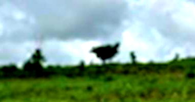 Terreno em São Carlos/SP com 268.378 m²