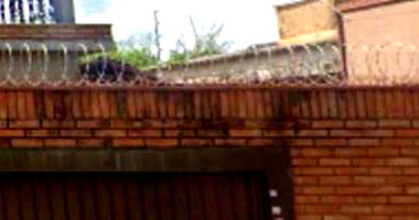 Casa Ocupada com 338m² de Área Construída em Campo Grande/MS