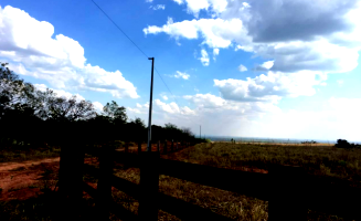 Fazenda com 393 hectares em Brasnorte/MT