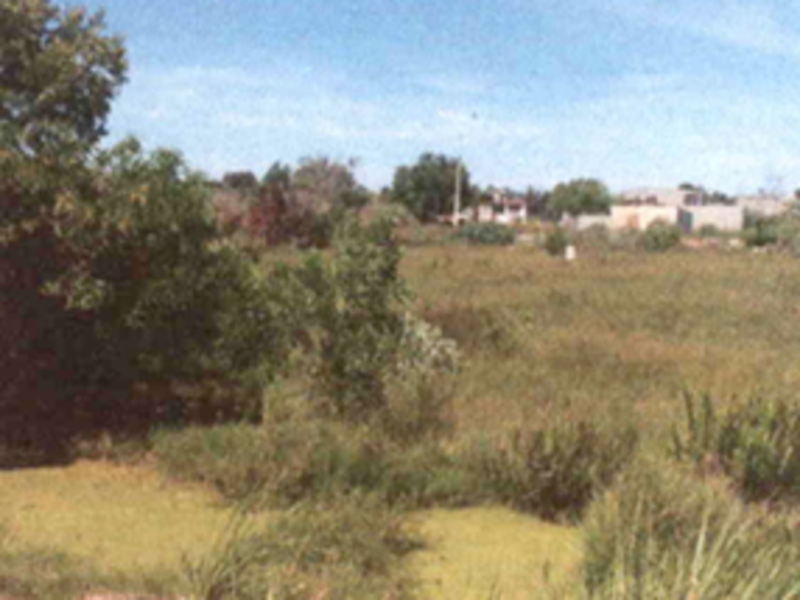 Lote Residencial em Barramares com 300m²