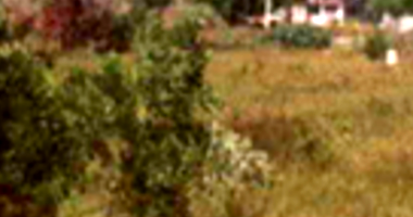 Lote Residencial em Barramares com 300m²