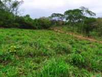 Fração Ideal de 50% de Imóvel Rural em Santiago