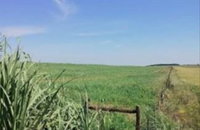 Gleba Rural 11ha com 301m² de área construída em Maçambará/RS
