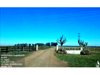 Parte ideal de sítio com 12 hectares em Itaqui/RS