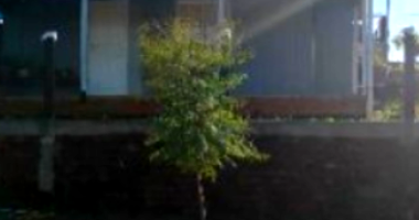 Terreno em Tapera/RS com 259 m²